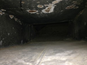 air duct cleaning - all cleaning
